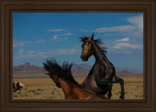 Load image into Gallery viewer, Winner Takes All
