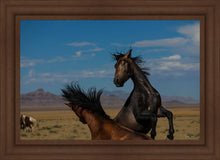 Load image into Gallery viewer, Winner Takes All
