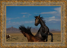 Load image into Gallery viewer, Winner Takes All
