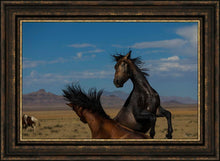 Load image into Gallery viewer, Winner Takes All

