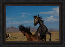 Load image into Gallery viewer, Winner Takes All
