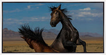 Load image into Gallery viewer, Winner Takes All
