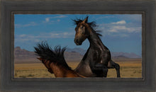 Load image into Gallery viewer, Winner Takes All
