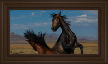 Load image into Gallery viewer, Winner Takes All

