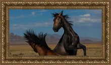 Load image into Gallery viewer, Winner Takes All
