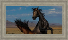 Load image into Gallery viewer, Winner Takes All
