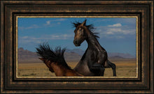 Load image into Gallery viewer, Winner Takes All
