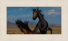 Load image into Gallery viewer, Winner Takes All
