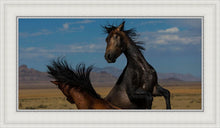 Load image into Gallery viewer, Winner Takes All
