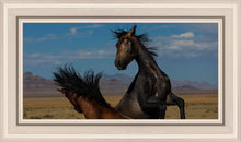 Load image into Gallery viewer, Winner Takes All
