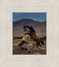Load image into Gallery viewer, Desert Duel 1
