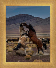 Load image into Gallery viewer, Desert Duel 1
