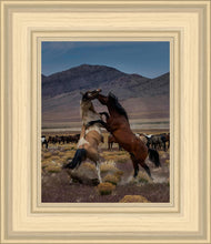 Load image into Gallery viewer, Desert Duel 1
