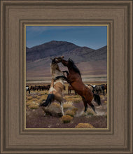 Load image into Gallery viewer, Desert Duel 1

