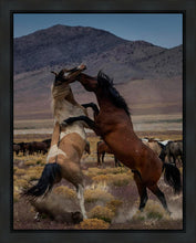 Load image into Gallery viewer, Desert Duel 1
