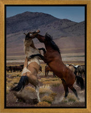 Load image into Gallery viewer, Desert Duel 1
