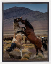 Load image into Gallery viewer, Desert Duel 1
