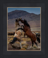 Load image into Gallery viewer, Desert Duel 1

