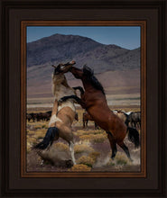 Load image into Gallery viewer, Desert Duel 1
