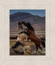 Load image into Gallery viewer, Desert Duel 1
