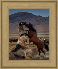 Load image into Gallery viewer, Desert Duel 1
