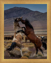Load image into Gallery viewer, Desert Duel 1
