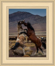 Load image into Gallery viewer, Desert Duel 1
