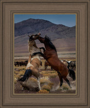 Load image into Gallery viewer, Desert Duel 1
