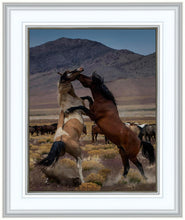 Load image into Gallery viewer, Desert Duel 1

