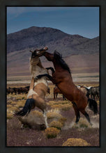 Load image into Gallery viewer, Desert Duel 1
