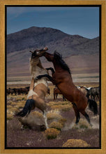 Load image into Gallery viewer, Desert Duel 1
