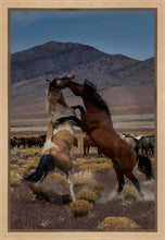 Load image into Gallery viewer, Desert Duel 1

