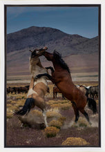 Load image into Gallery viewer, Desert Duel 1
