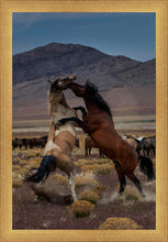Load image into Gallery viewer, Desert Duel 1
