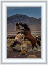 Load image into Gallery viewer, Desert Duel 1
