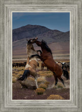 Load image into Gallery viewer, Desert Duel 1
