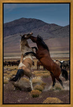 Load image into Gallery viewer, Desert Duel 1
