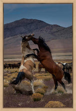 Load image into Gallery viewer, Desert Duel 1
