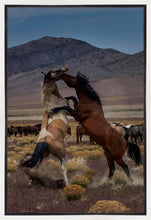 Load image into Gallery viewer, Desert Duel 1
