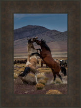 Load image into Gallery viewer, Desert Duel 1
