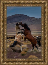 Load image into Gallery viewer, Desert Duel 1

