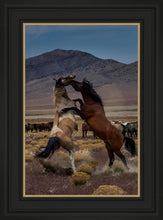 Load image into Gallery viewer, Desert Duel 1
