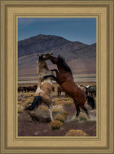 Load image into Gallery viewer, Desert Duel 1
