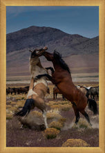 Load image into Gallery viewer, Desert Duel 1
