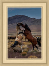 Load image into Gallery viewer, Desert Duel 1
