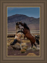 Load image into Gallery viewer, Desert Duel 1
