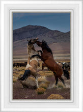Load image into Gallery viewer, Desert Duel 1
