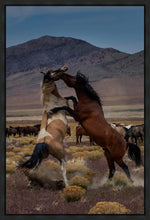 Load image into Gallery viewer, Desert Duel 1
