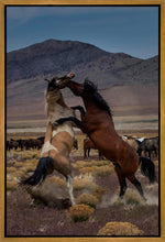 Load image into Gallery viewer, Desert Duel 1
