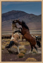 Load image into Gallery viewer, Desert Duel 1
